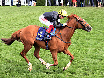 A fantastic Friday of horserac...